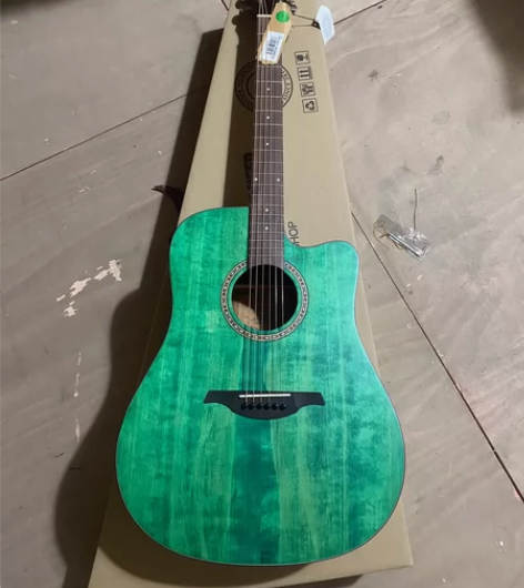 全新雷克斯吉他。r-d18c tg。积压库...