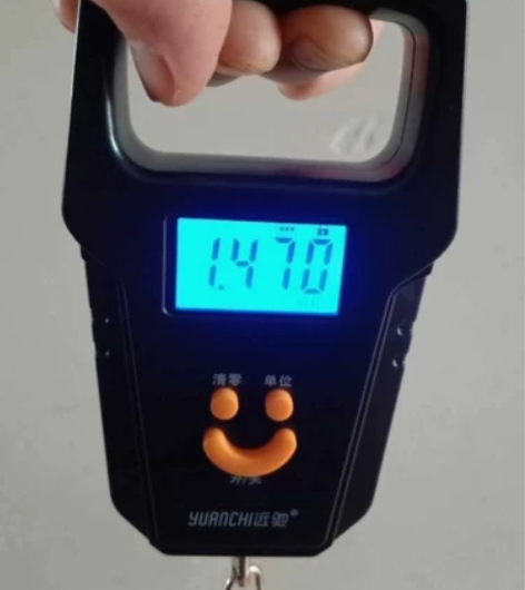 手提秤电子秤商用迷你弹簧秤称重电子厨房50...