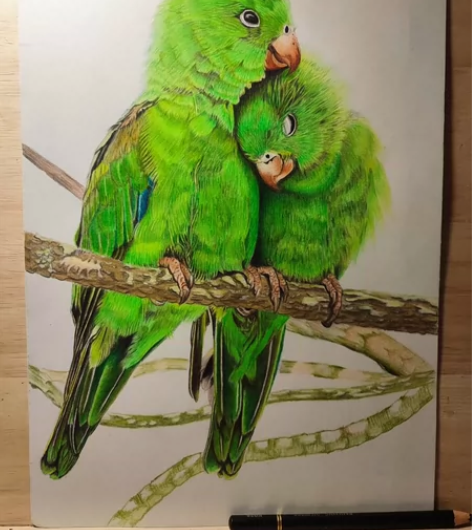 240gA4彩铅画，纯手工绘制。 感兴趣的...