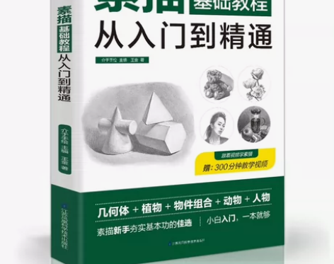 绘画素描基础教程从入门到精通 速写人物教程...