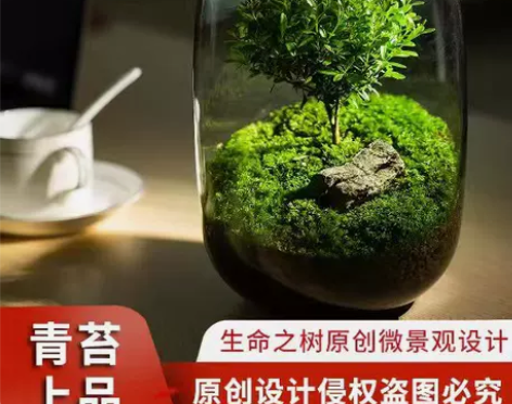 创意桌面苔藓微景观成品盆景好养鲜活绿植生态...