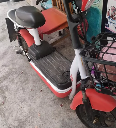 新买的五羊电动车，用了2个月，准备出外地发...