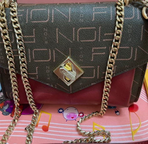 Fion菲安妮链条包单肩包 大概九五成新，...