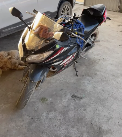 大力神机头,250排量,极速135,不能过...