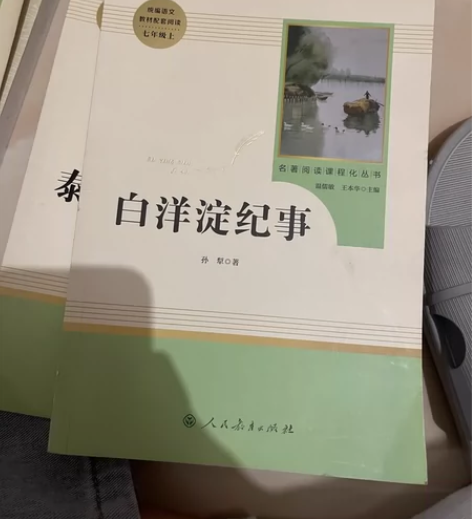 白洋淀纪事白洋淀 纪事正版图书 可议价 感...
