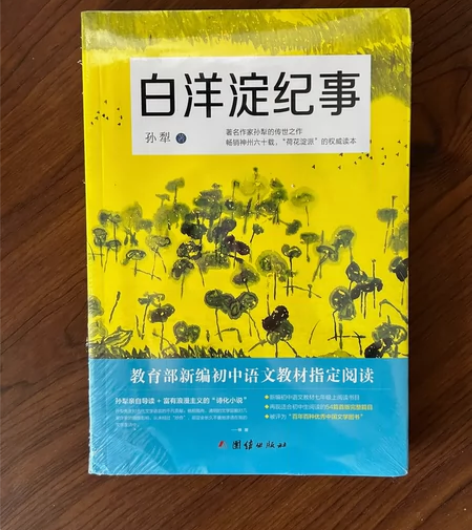 全新闲置图书1白洋淀纪事 平装 感兴趣的话...