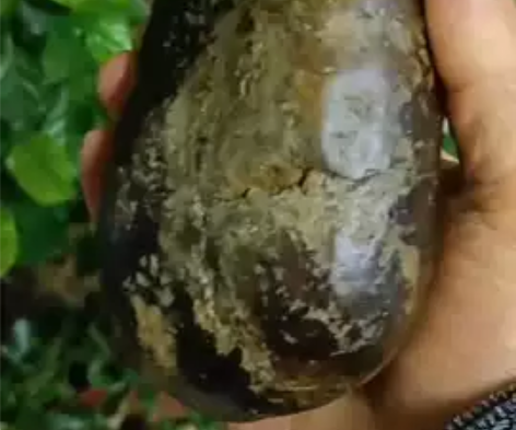 新疆和田玉籽料原石，天然皮色油润大气，千年...