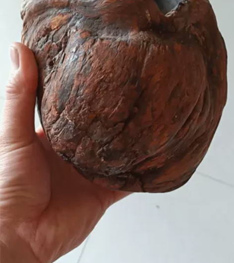 太行崖柏笔筒,也可做香炉,随形满榴疤,品相...