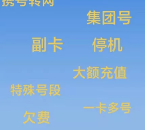 三网话费充值，支持携号转网！91折，455...
