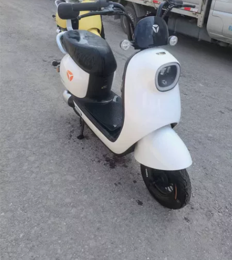 点开链接看选车图，雅迪，爱玛，台铃，九号，...