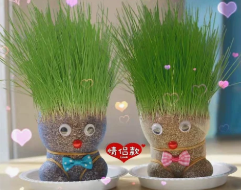 桌面小盆栽迷你卡通长草娃娃去毛球小孩子生日...