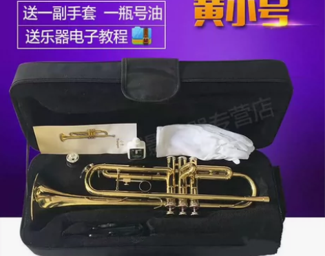 星海降E调小号初学演奏款星海XT-120型...