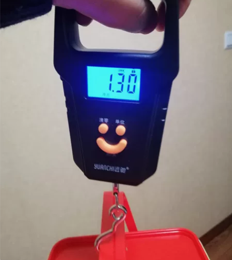 手提秤电子秤商用迷你称重电子厨房50kg便...