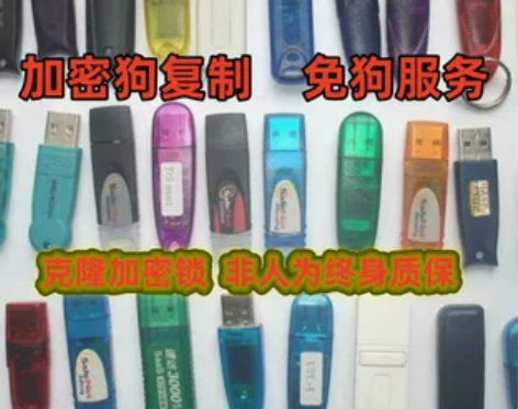 加密锁 破解程序注册码加密狗//软件狗克隆复