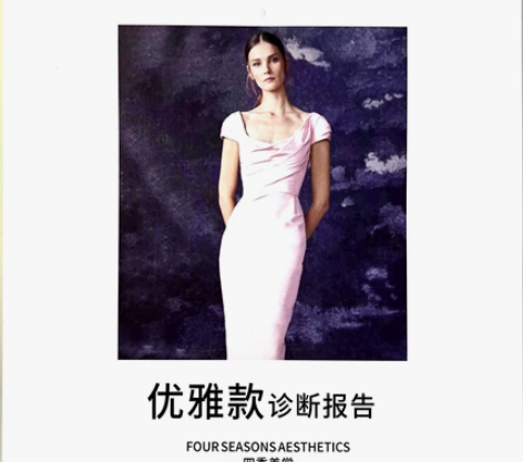 四季美学西蔓风格分析报告八本 包括了女士风...