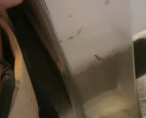 花瓶,回家自己刷刷吧 感兴趣的话点“我想要...