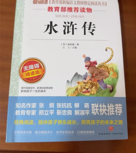 水浒传(无障碍精读版)/爱阅读语文新课标必...