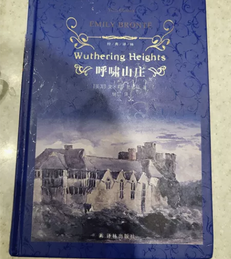 呼啸山庄呼啸山庄(精) 感兴趣的话点“我想...