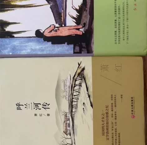 初中生必读的经典书籍《朝花夕拾?呐喊》 《...