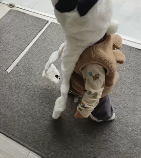 可爱玩偶毛绒熊猫帽子8个 熊猫衣服两件，一...