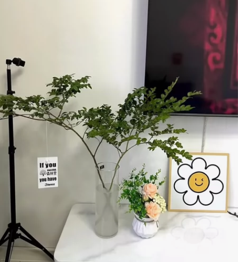 落地大号透明玻璃花瓶富贵竹插花器卧室客厅直...