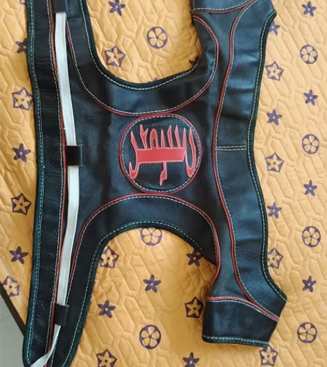 蒙古族摔跤真皮护肩，儿子的，现在不用了，闲...