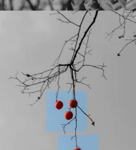 大学生尼康d3500 加永诺50定 1.8...