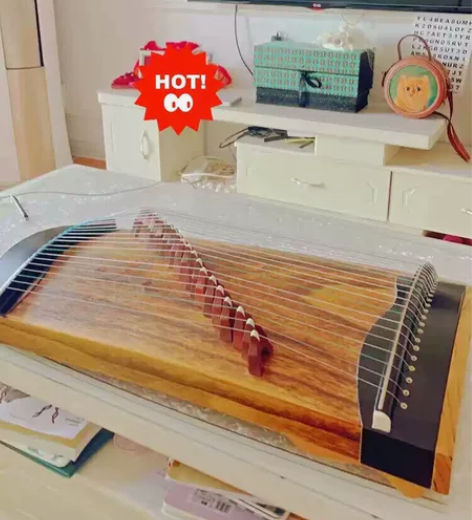 古筝琴新手入门古筝初学者一整套 成人儿童艺...