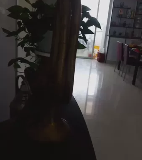 铜号 壹把保存完好精美的铜号，具体生产年代...