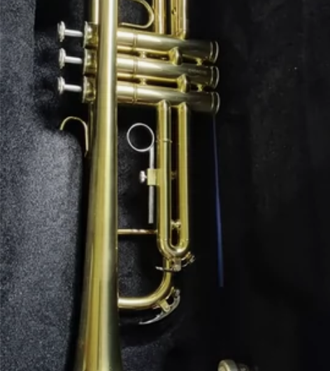 闲置黄铜小号，使用少，9成新，型号是耐特K...