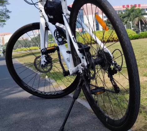 沃雷顿（VORLAD）清风380平把公路自...