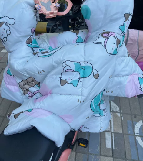 台铃电动车,橘粉色,刚买没多久的挡风被也一...