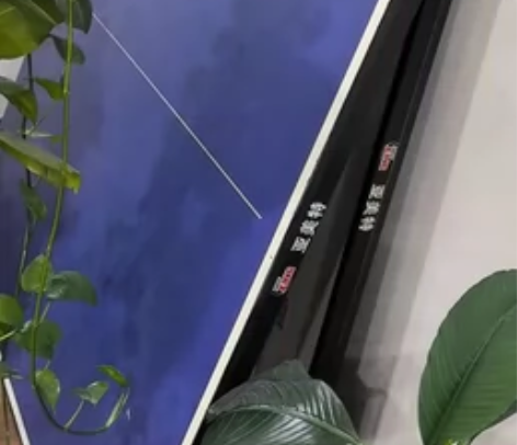 闲置乒乓球桌 95新，没用几次 需要自提（...