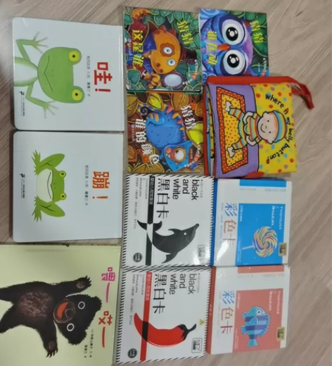 低龄幼儿益智书籍，卡片，全部一起20元 感...