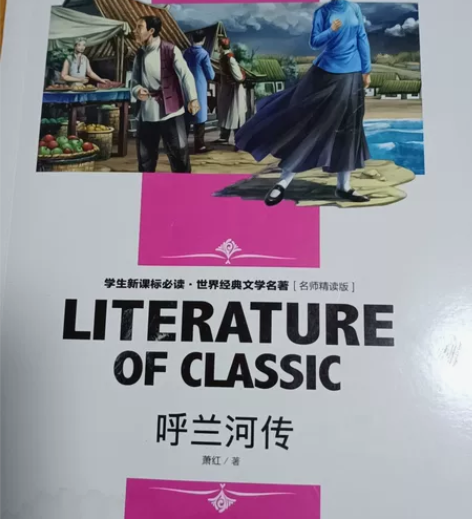 呼兰河传，校内指定读物，全新，本地自提10...