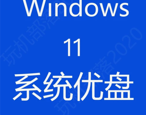 windows11 正版安装盘 优盘 不提...