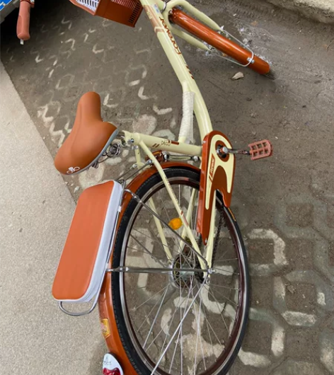 永久自行车，男女通用成人代步通勤车，26寸...