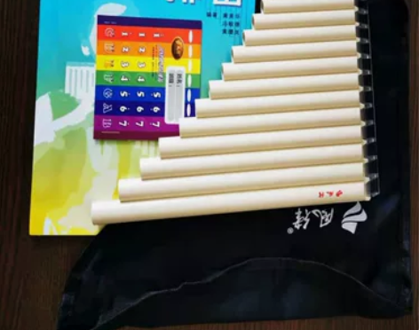 风律易学排笛 16管18管学生教学专用排笛...