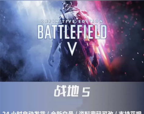 战地风云5 战地5 Battlefield...