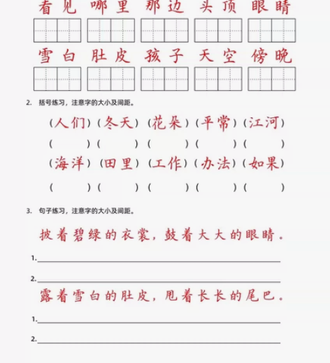 各类型小学阶段同步生字练习，提升孩子卷面书...