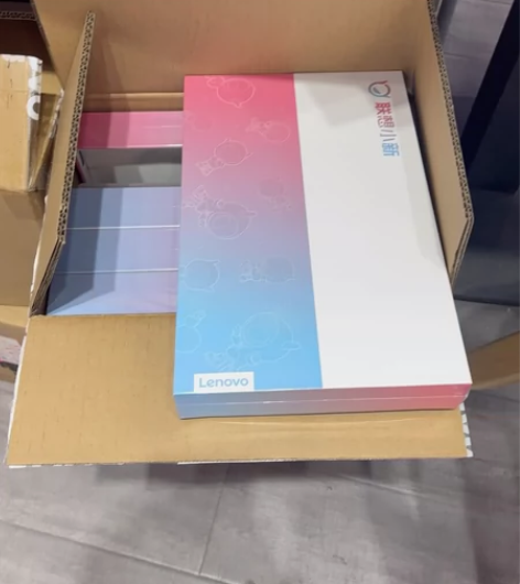 Lenovo/联想 联想平板小新Pad P...