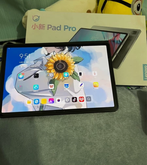 【售99新闲置平板】【小新Pad Pro ...