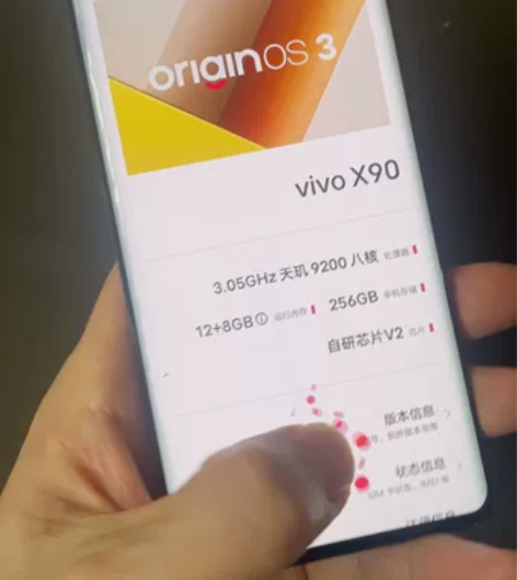 vivo x90手机12+256内存换过原...