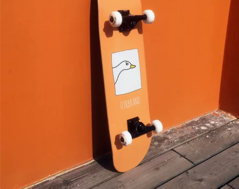 专业成人双翘板青少年男女生儿童初学者滑板四...