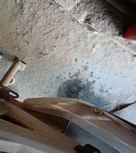 国三钻豹125，发动机完美，有头罩没安，喜...