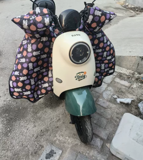 台铃电动车，低价转让，白牌有证，速度45十...