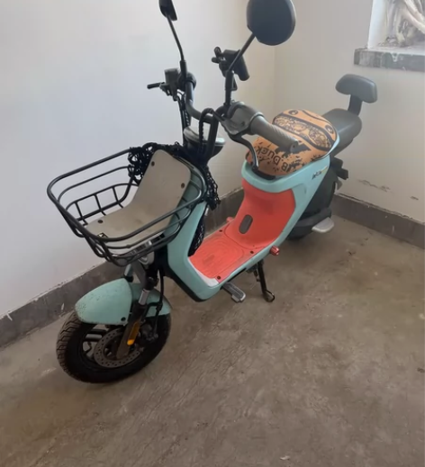 九号c80国标蓝牌电动自行车，4824电池...