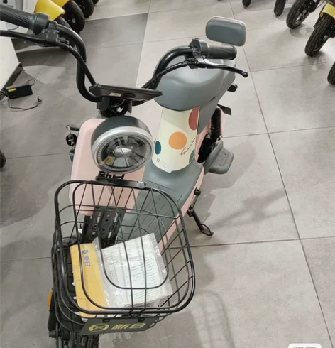 新日悠悠Q2新国标电动自行车，买了一年半年...