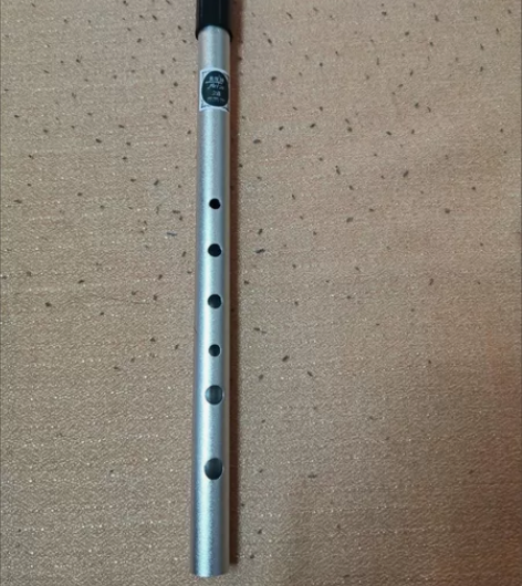 琴行搬迁爱尔兰哨笛C调D调初学者入门儿童专...