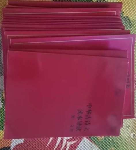 古文红宝书 九新小学生小散文100课(上下...